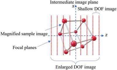 Augmentation of 3D Holographic Image Graticule With Conventional Microscopy